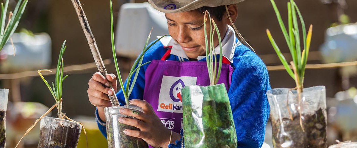 Un niño plantando en unas macetas hechas con botellas de plástico